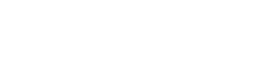 Fly ASM